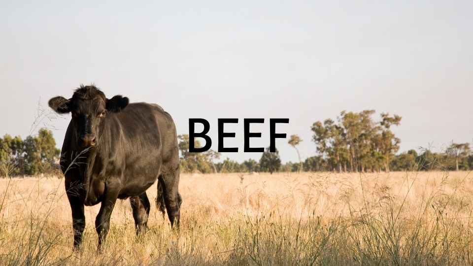Beef