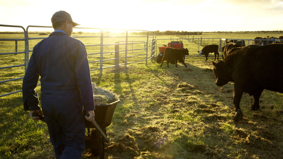 herd health and management