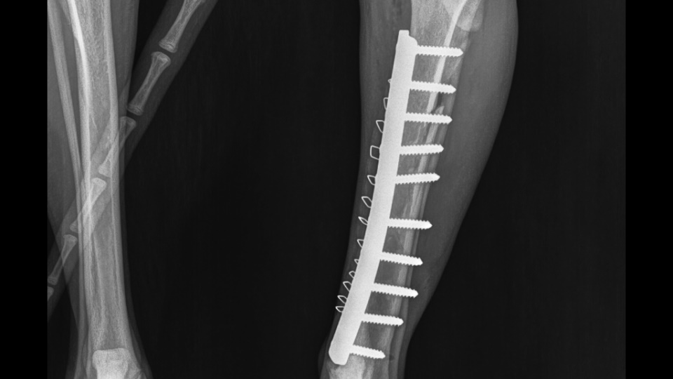 Diagnostic Imaging