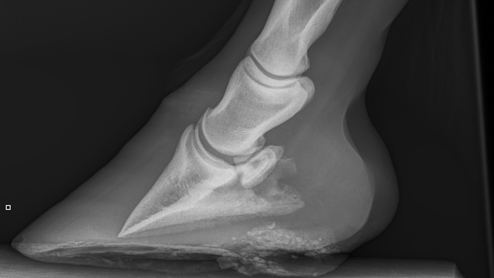 digital radiology