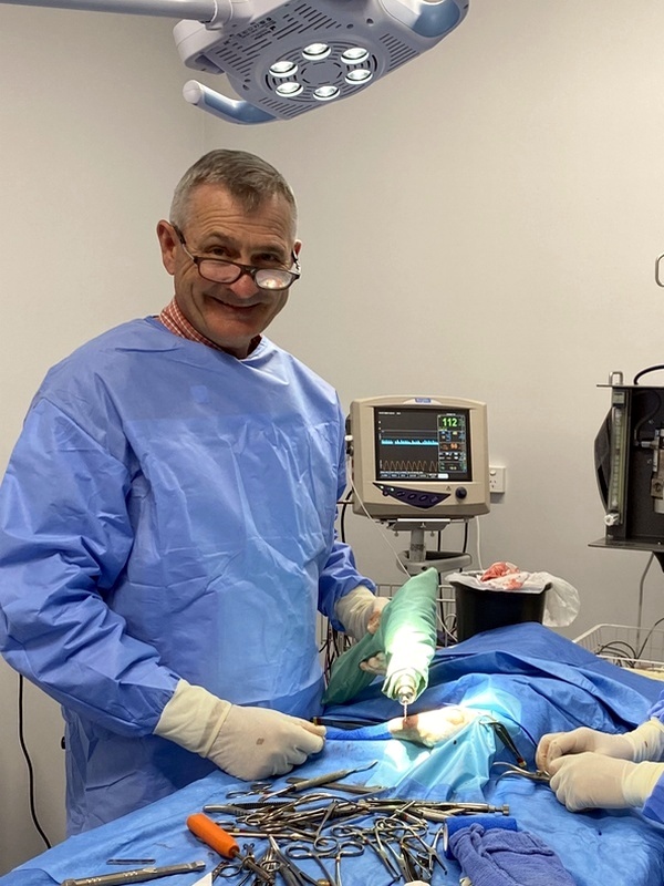 Dr David Swan